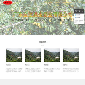 广东金龙洞泉酒业有限公司
