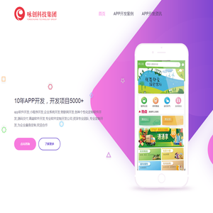 APP开发公司