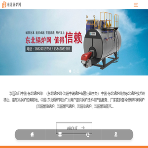 沈阳燃气锅炉厂家