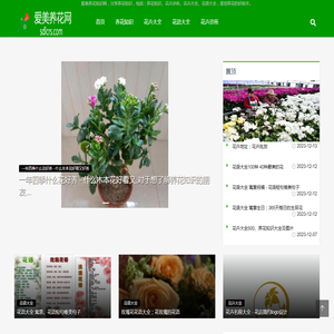 爱美养花知识网首页