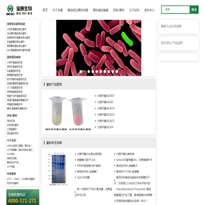 宝赛质粒菌株公司