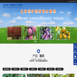 精品果树,杏树苗,西梅苗木,海棠精品,石榴树批发,庭院绿化养护