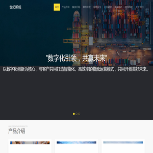 TMS运输管理系统