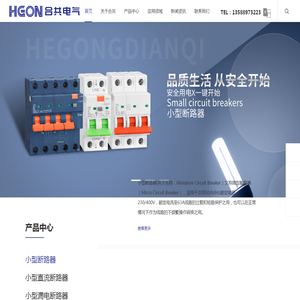 温州合共电气有限公司