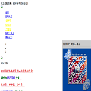 山东泰安手机靓号官网