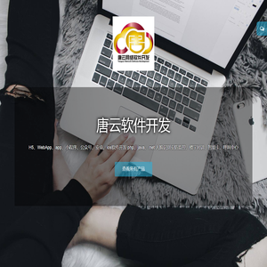 唐云软件开发
