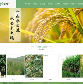 绵阳志鹏农业开发有限公司