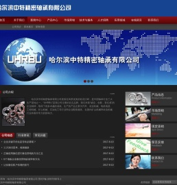 哈尔滨中特精密轴承有限公司