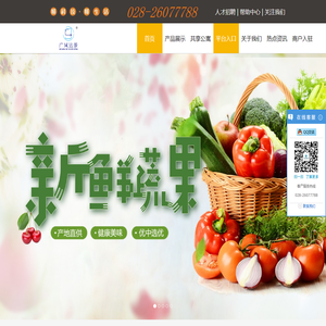 资阳市远景网络科技有限公司