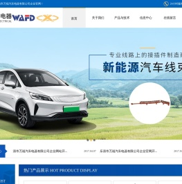 乐清市万福汽车电器有限公司