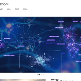 中译语通科技股份有限公司
