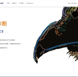 斑块视界