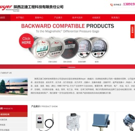 dwyer,dwyer总代理,mercoid,flotect代理