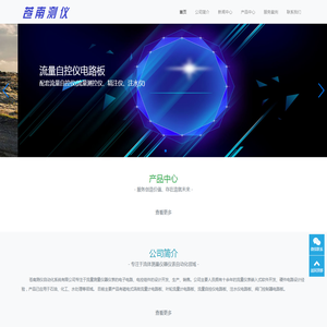 苍南测仪自动化系统有限公司