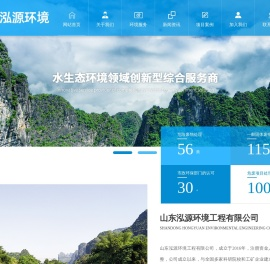 山东泓源环境工程有限公司