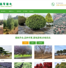 绿化苗木