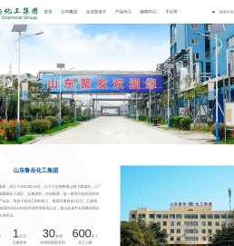 山东鲁岳化工集团