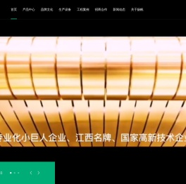 江西扬帆实业有限公司