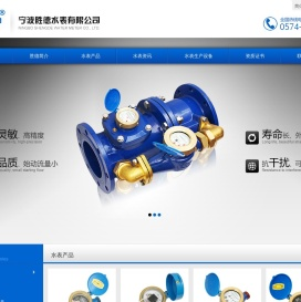宁波胜德水表有限公司