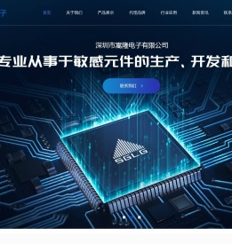 深圳市嵩隆电子有限公司