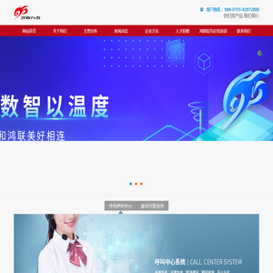 广东鸿联九五信息产业有限公司