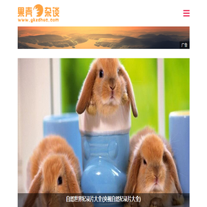 果壳杂谈