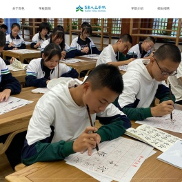 百色天立学校官网