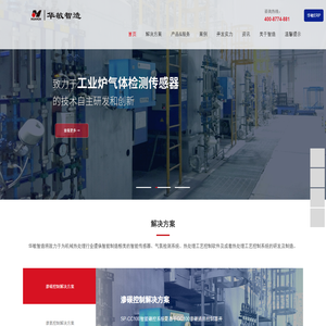 氧化锆氧量分析仪