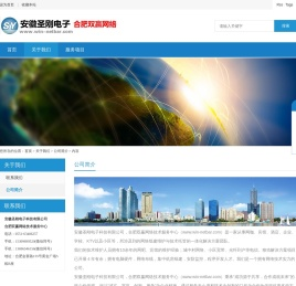 合肥网维