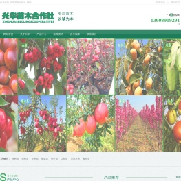 新优桃树苗