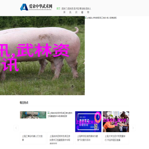爱朵中华武术网