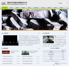 榆林市天龙镁业有限责任公司