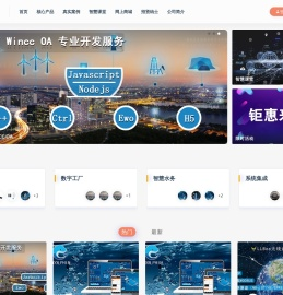 大连莱立佰信息技术有限公司