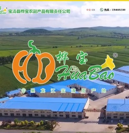 宝清县桦宝农副产品有限责任公司,宝清白瓜子,黑龙江白瓜子,白瓜子,桦宝农产品