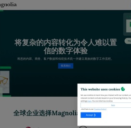 白玉兰软件中国