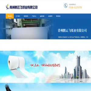 青州鹏云飞纸业有限公司
