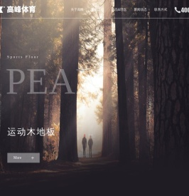 沈阳篮球馆体育运动木地板