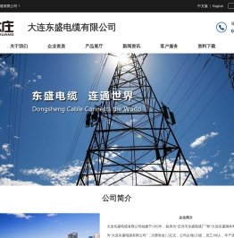 大连东盛电缆有限公司