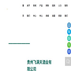 贵州飞满天酒业有限公司