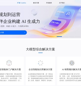 大模型应用解决方案服务商