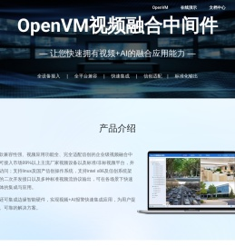 OpenVM视频融合中间件