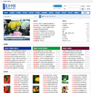 花讯网