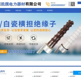 悬式绝缘子