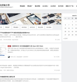 姜成SEO优化经验分享