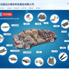 大连德迈仕精密科技股份有限公司