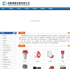 成都德森电器有限公司