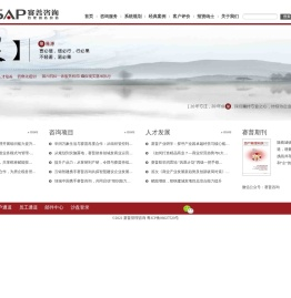 赛普管理咨询官网