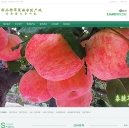新品种苹果苗示范产地
