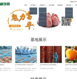 2025陕西富平柿饼厂家电话