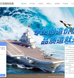 江苏润仪仪表有限公司